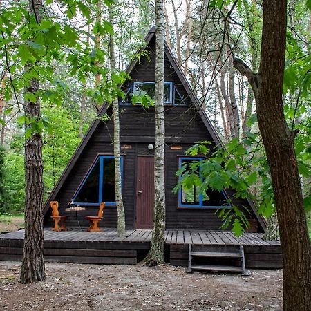 Domki W Wildze Skurcza Exterior photo