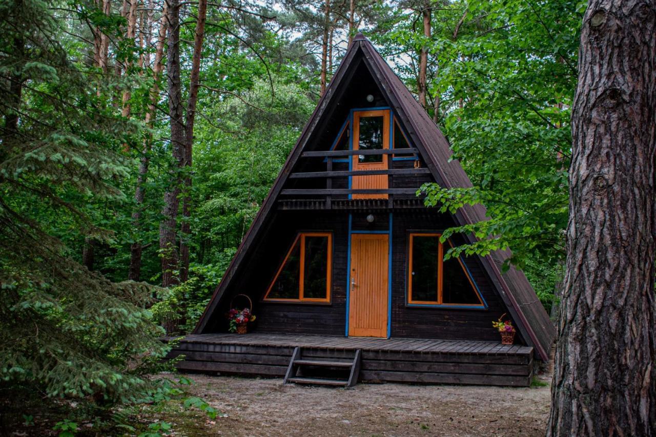 Domki W Wildze Skurcza Exterior photo